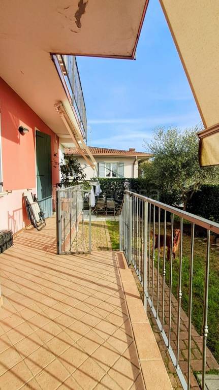 immagine annuncio 12 di 15