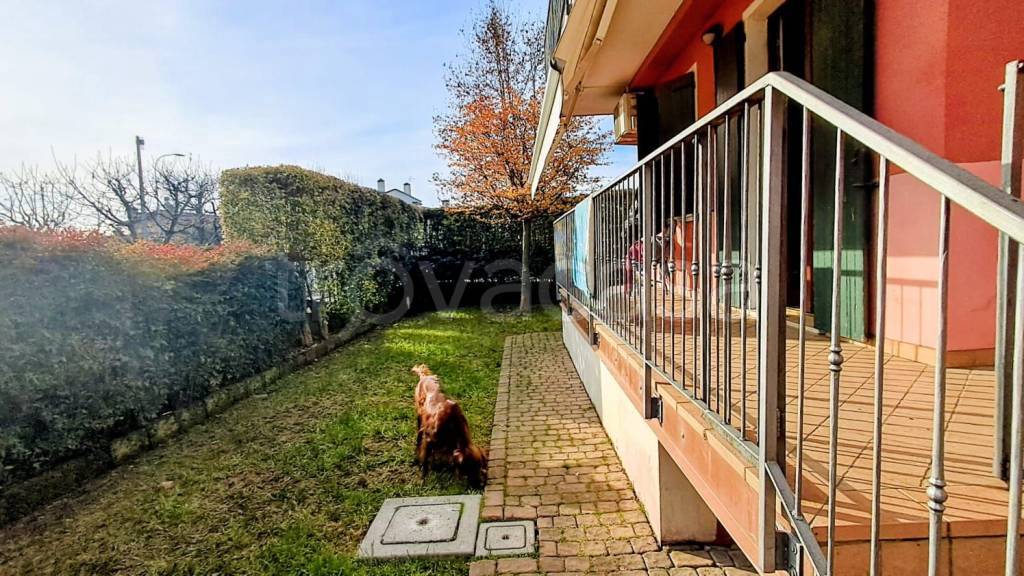 immagine annuncio 6 di 15