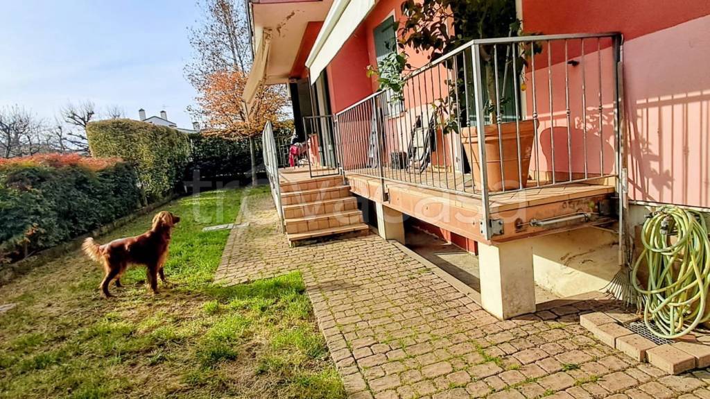 immagine annuncio 2 di 15