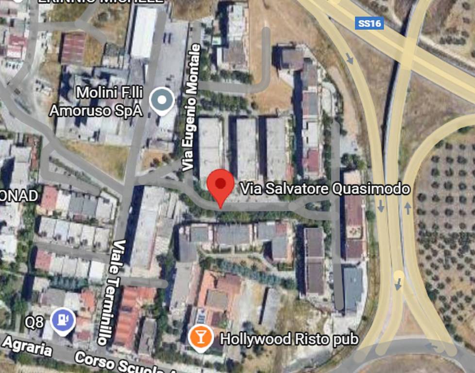 immagine annuncio 4 di 11