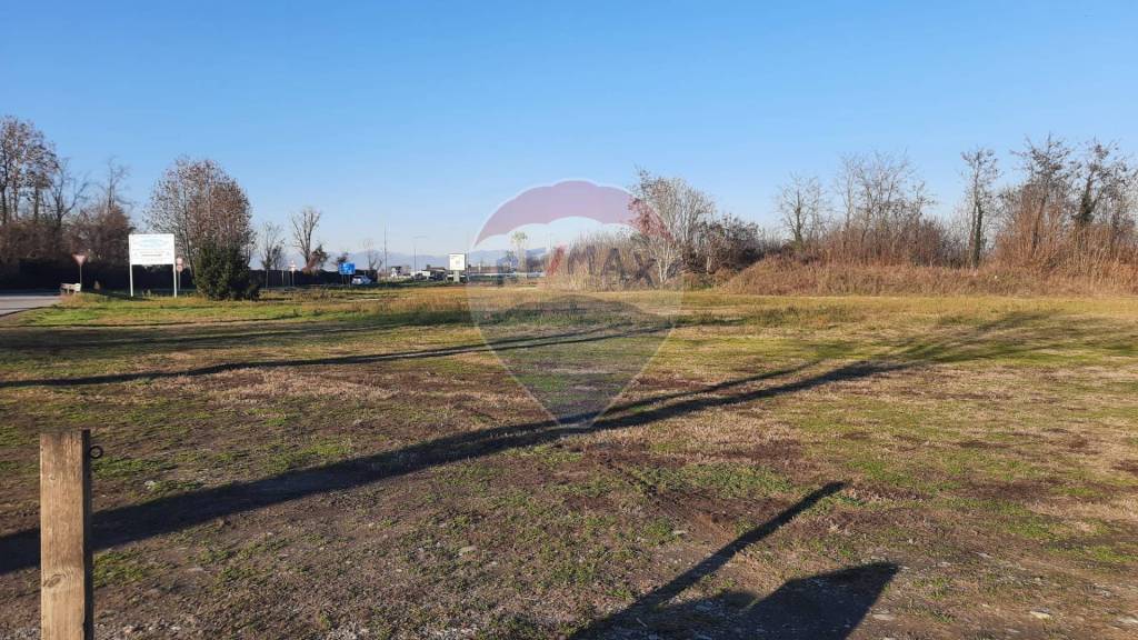 immagine annuncio 1 di 7