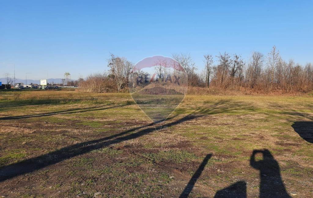 immagine annuncio 2 di 7