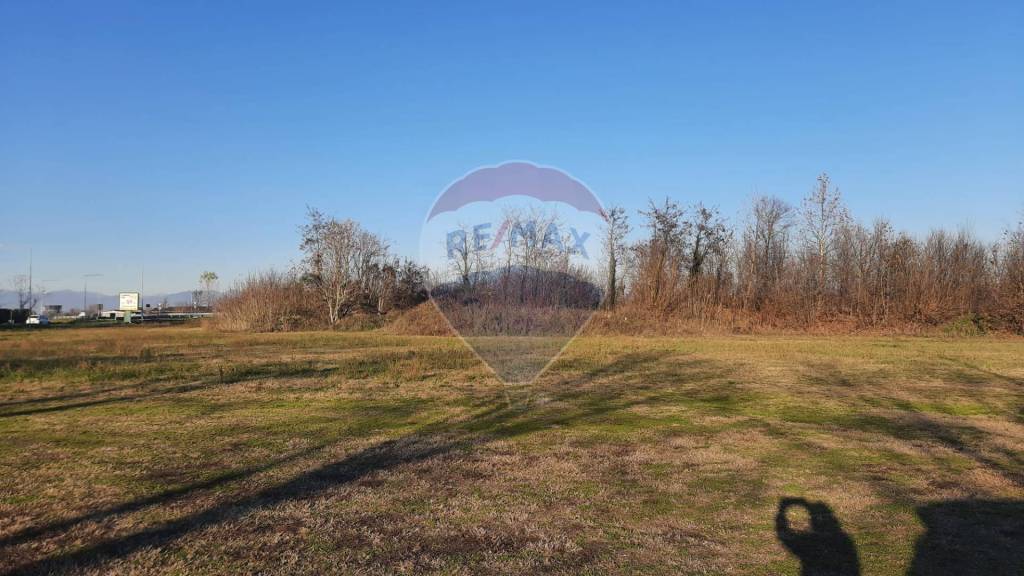 immagine annuncio 4 di 7