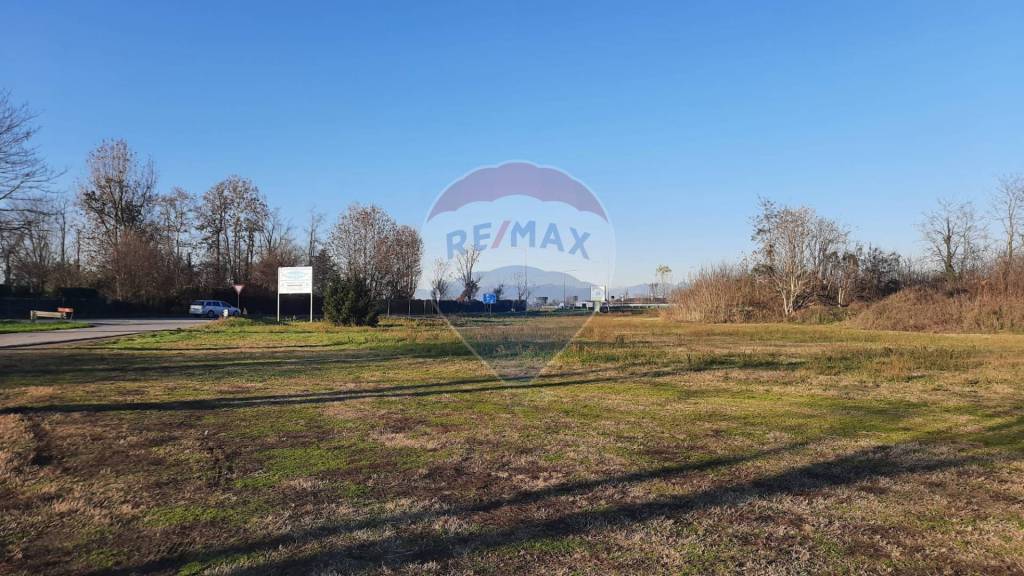 immagine annuncio 5 di 7