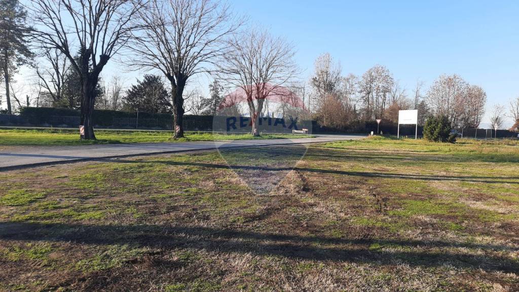 immagine annuncio 6 di 7