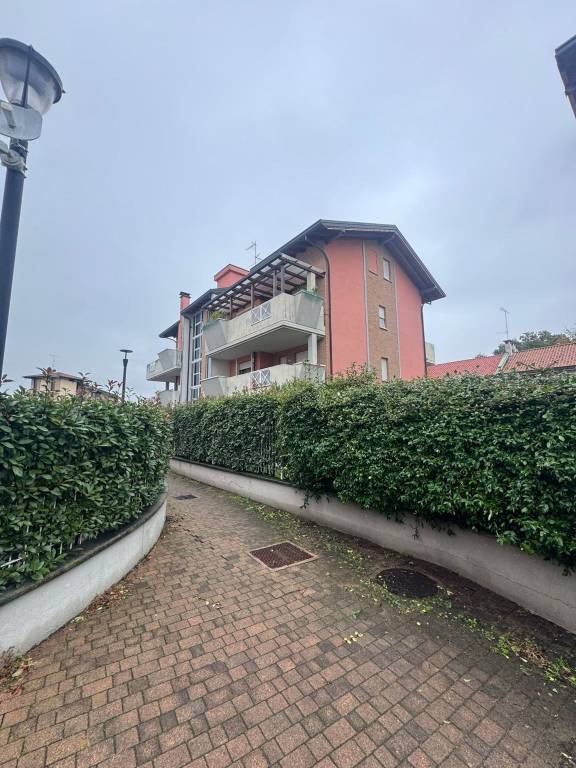 immagine annuncio 12 di 14