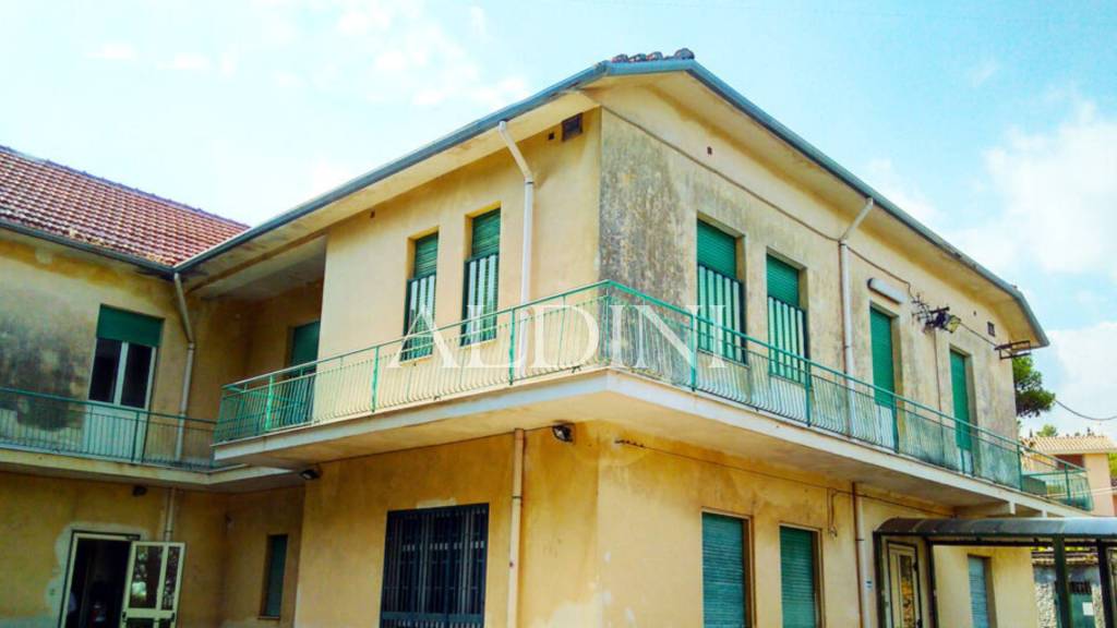 immagine annuncio 2 di 6