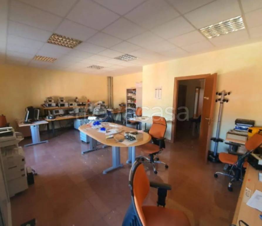 immagine annuncio 8 di 11