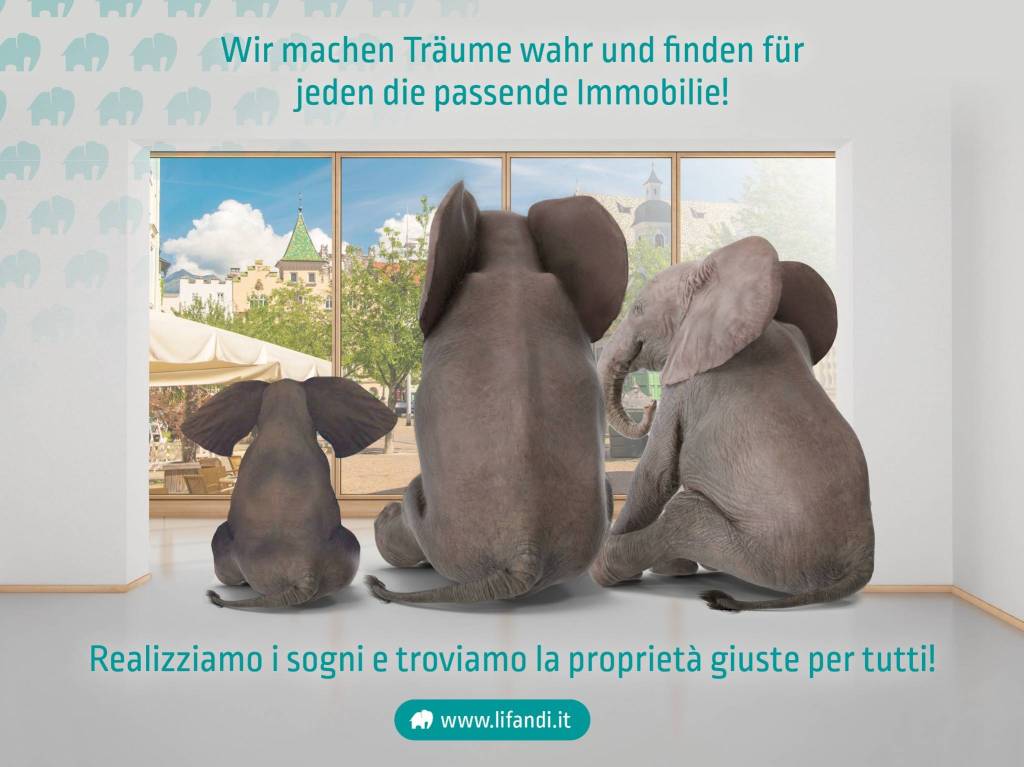 immagine annuncio 2 di 9