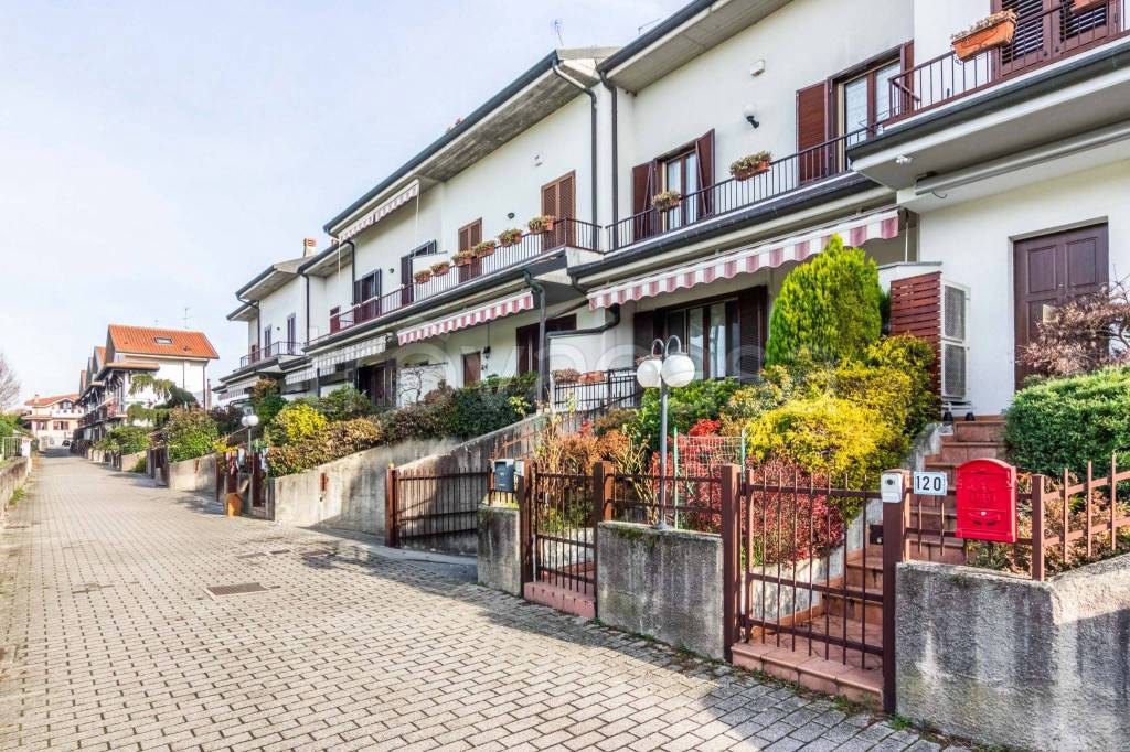 immagine annuncio 3 di 15