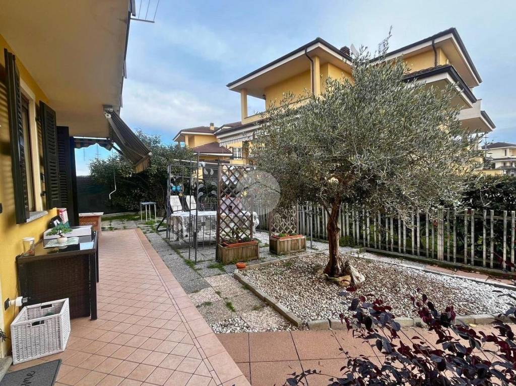 immagine annuncio 5 di 15