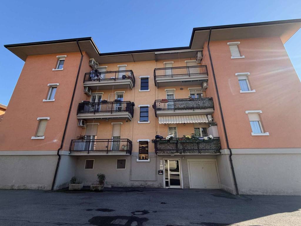 immagine annuncio 1 di 15