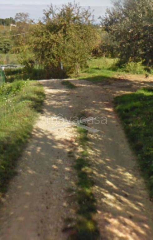 immagine annuncio 6 di 11