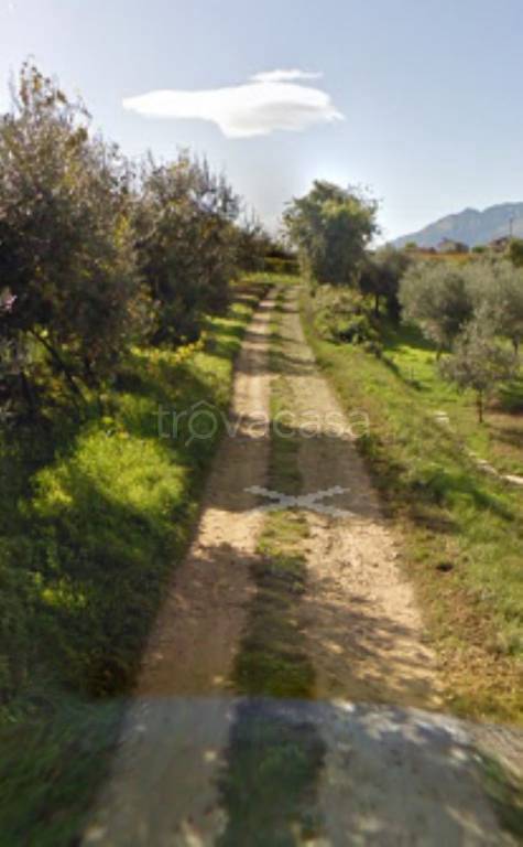 immagine annuncio 9 di 11