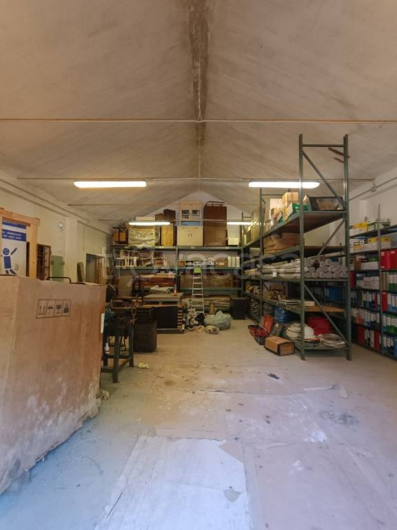 immagine annuncio 3 di 13