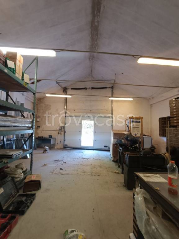 immagine annuncio 5 di 13