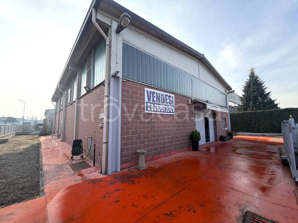 immagine annuncio 3 di 10