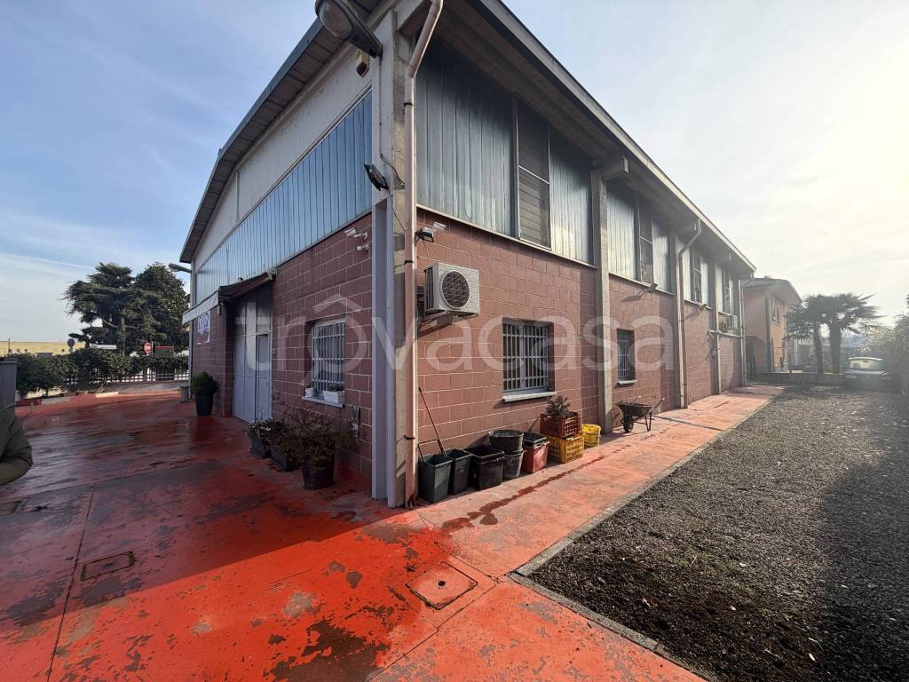 immagine annuncio 5 di 10