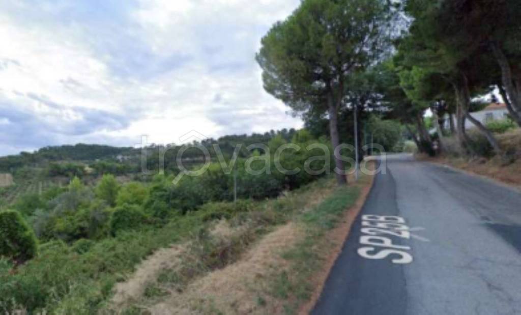 immagine annuncio 3 di 9