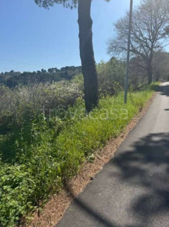 immagine annuncio 4 di 9