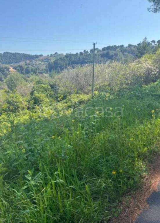 immagine annuncio 5 di 9