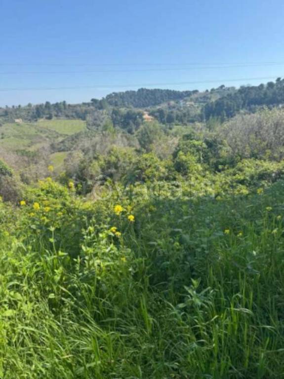 immagine annuncio 6 di 9