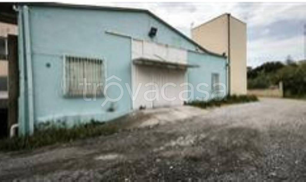 immagine annuncio 1 di 11