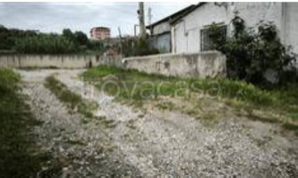 immagine annuncio 5 di 11