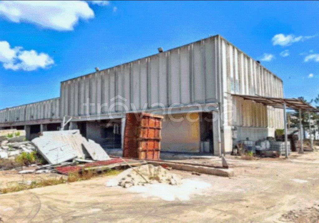 immagine annuncio 9 di 10