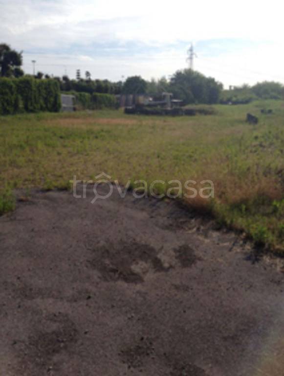 immagine annuncio 6 di 13