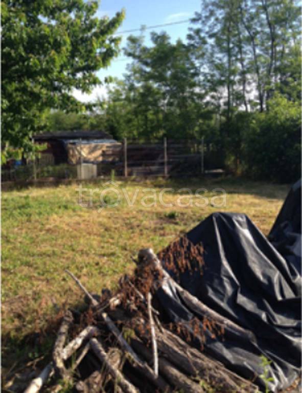 immagine annuncio 11 di 13