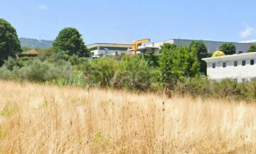 immagine annuncio 4 di 11