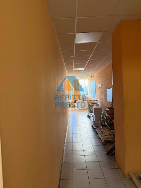 immagine annuncio 3 di 8