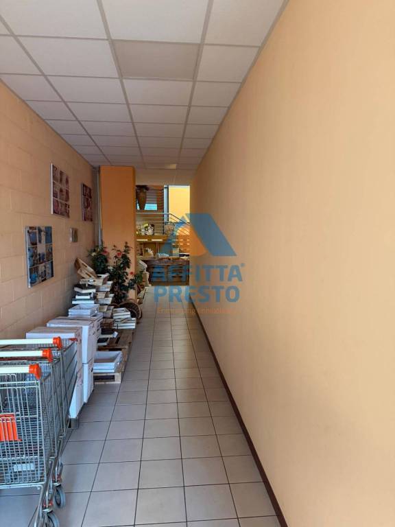 immagine annuncio 5 di 8