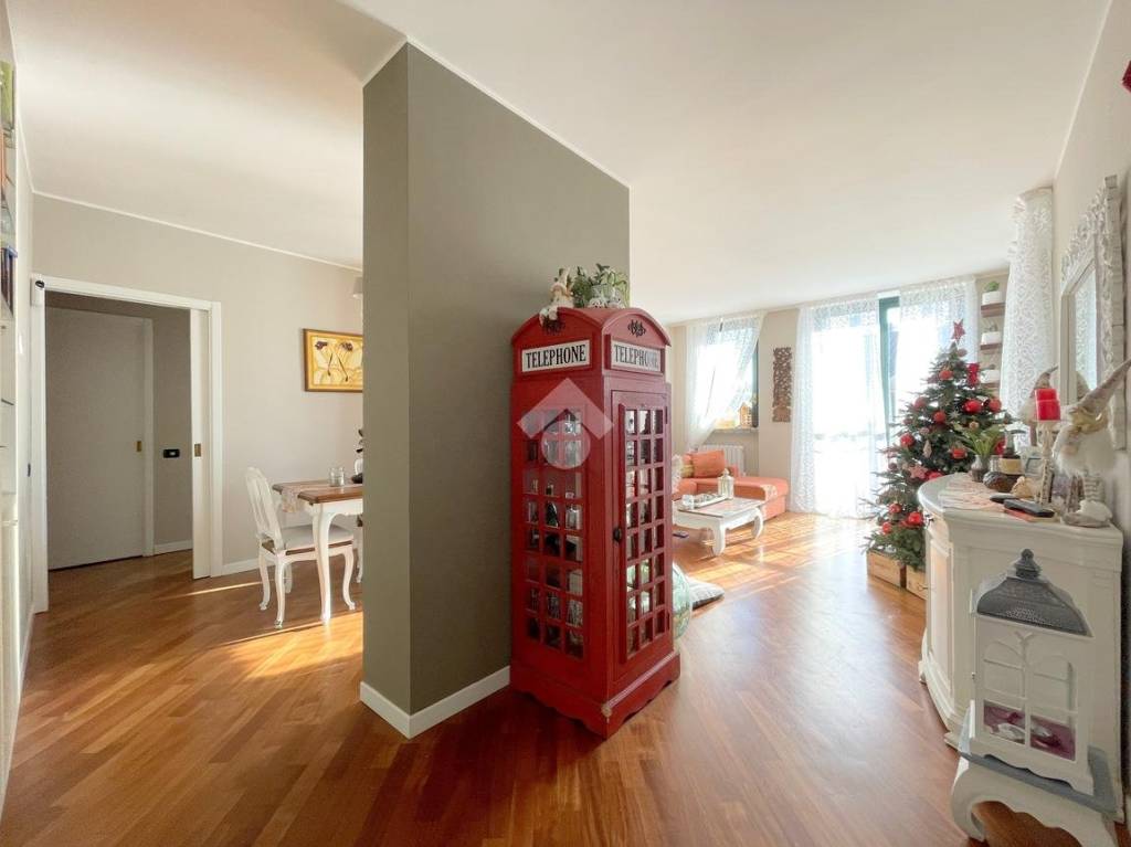 immagine annuncio 5 di 15