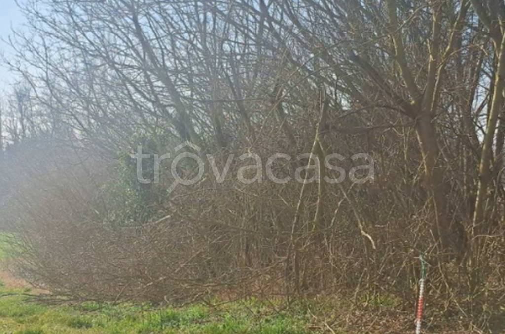 immagine annuncio 7 di 13