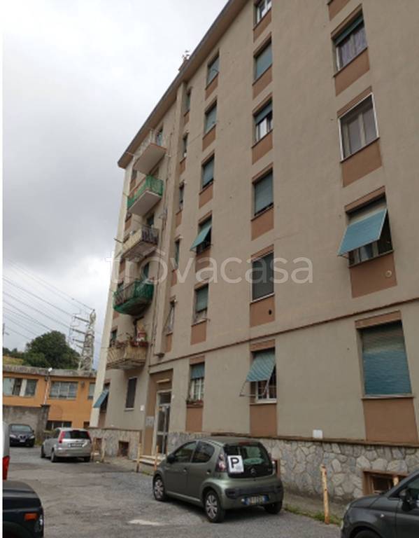 immagine annuncio 11 di 12