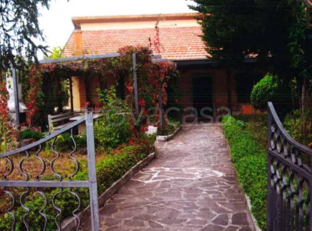 immagine annuncio 3 di 14