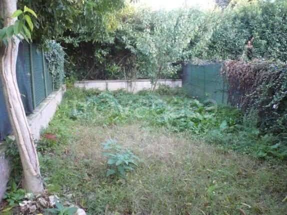 immagine annuncio 9 di 12