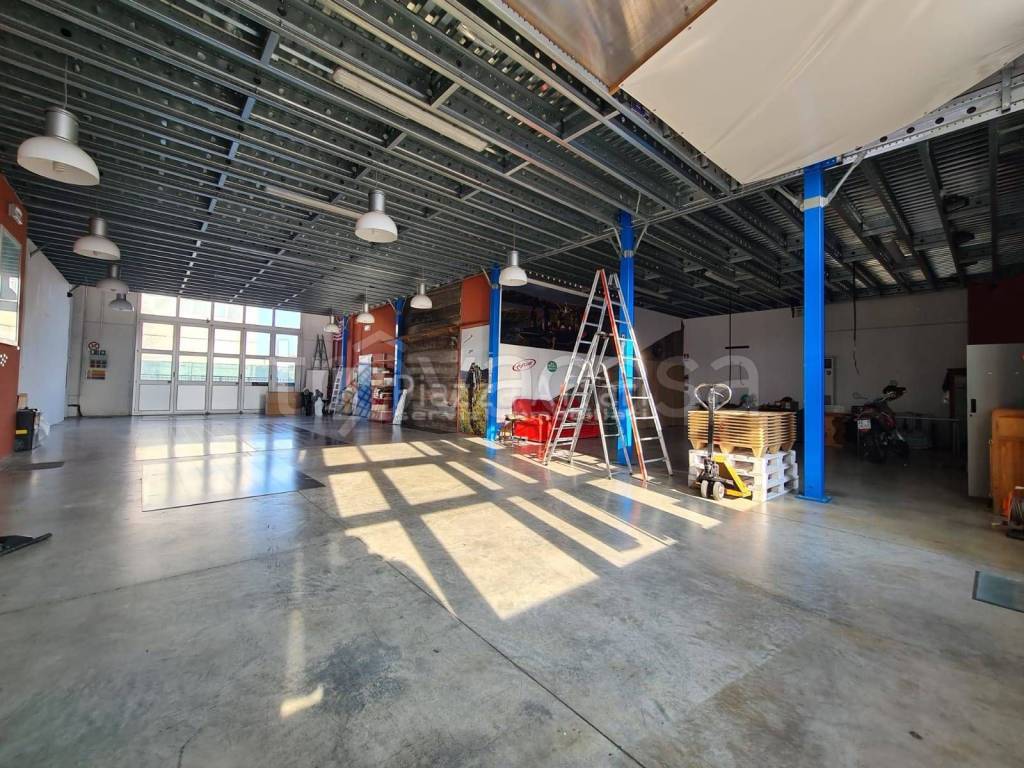 immagine annuncio 11 di 15