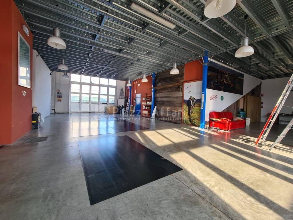 immagine annuncio 13 di 15