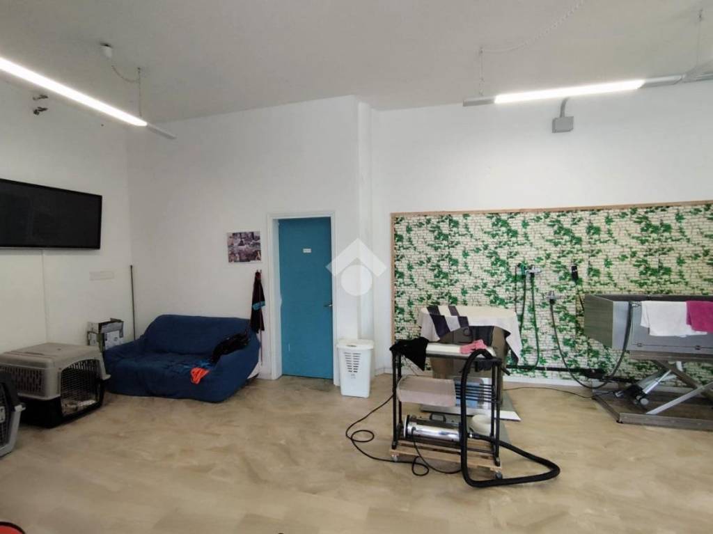 immagine annuncio 4 di 14