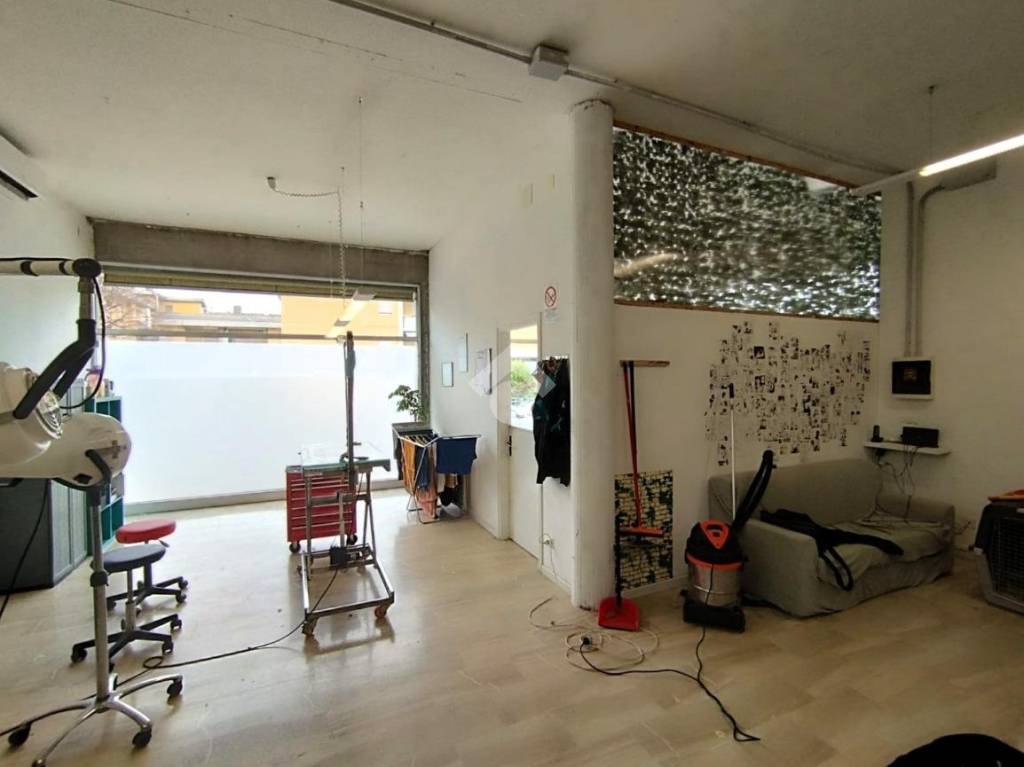 immagine annuncio 5 di 14