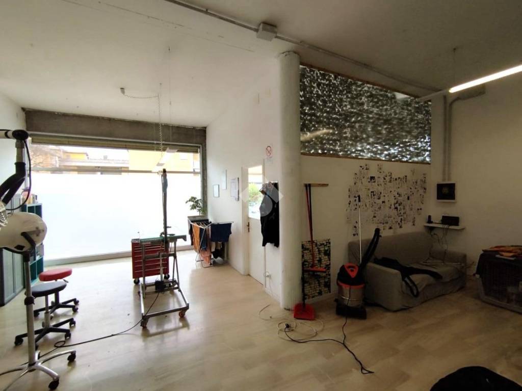 immagine annuncio 6 di 14