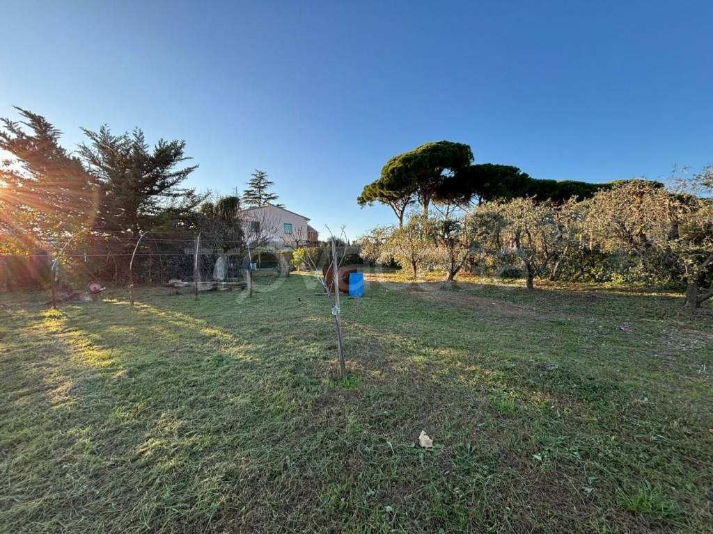 immagine annuncio 1 di 6