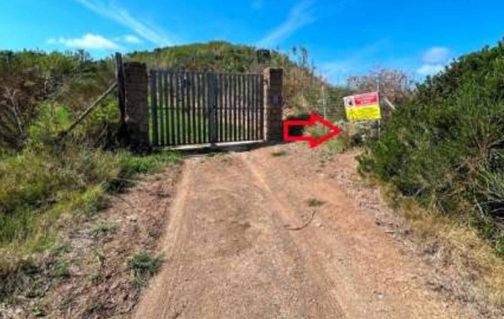 immagine annuncio 4 di 12