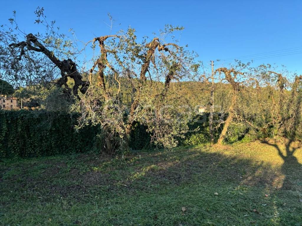 immagine annuncio 3 di 6