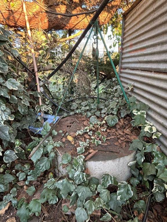 immagine annuncio 4 di 6