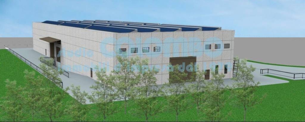 immagine annuncio 8 di 11