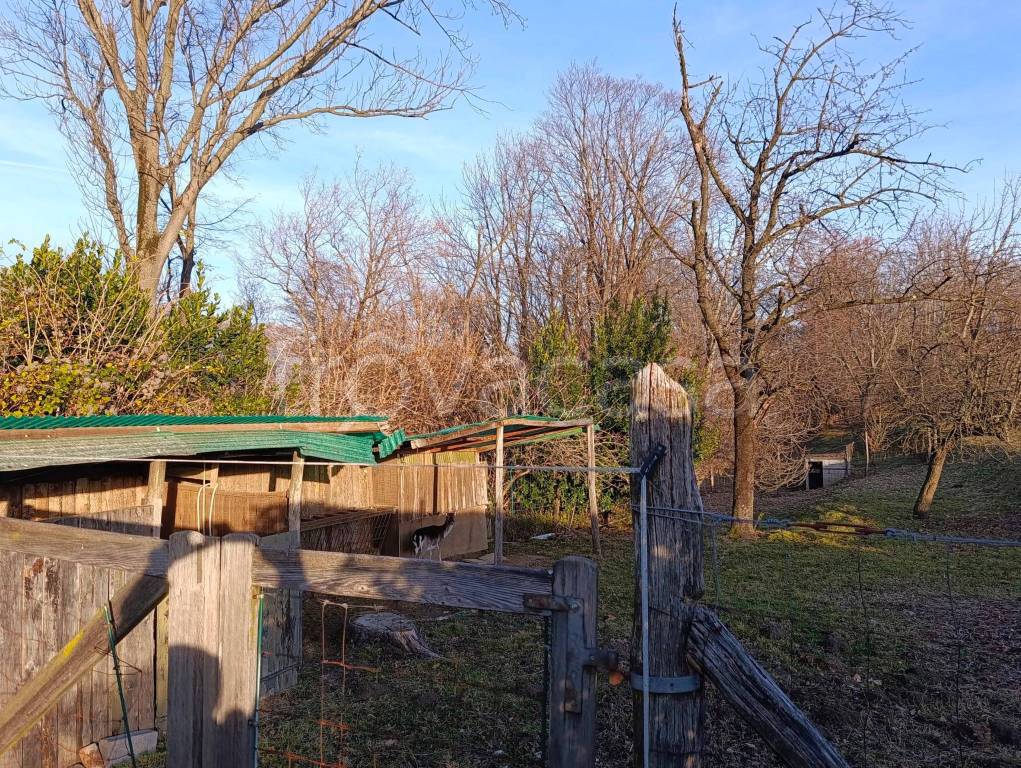 immagine annuncio 14 di 15